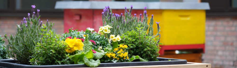 Oberschule-Geestemünde